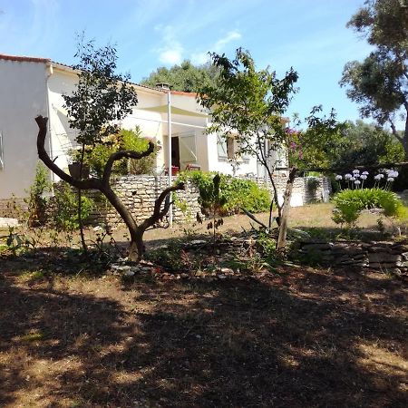 Bonifacio, Maison 90M² Sous Les Oliviers, Vue Sardaigne Bonifacio  Kültér fotó