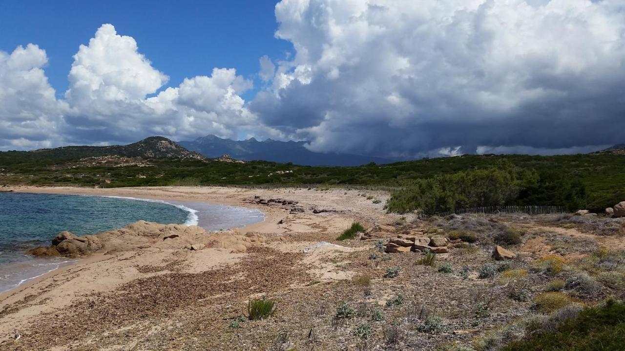 Bonifacio, Maison 90M² Sous Les Oliviers, Vue Sardaigne Bonifacio  Kültér fotó