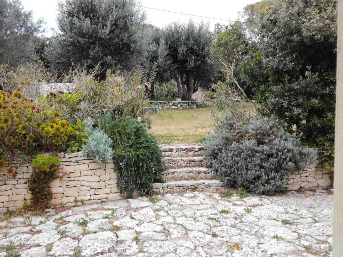 Bonifacio, Maison 90M² Sous Les Oliviers, Vue Sardaigne Bonifacio  Kültér fotó